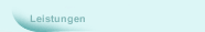 Leistungen